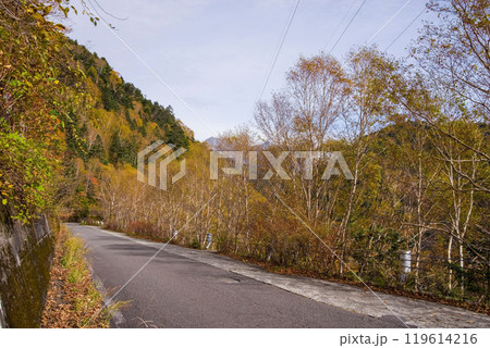 安房峠【国道158号 旧道】の紅葉 119614216
