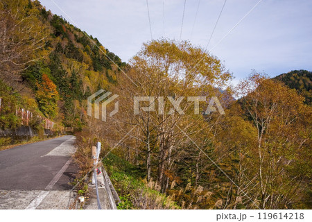 安房峠【国道158号 旧道】の紅葉 119614218
