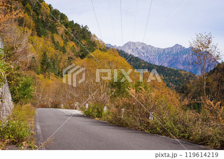 安房峠【国道158号 旧道】の紅葉 119614219