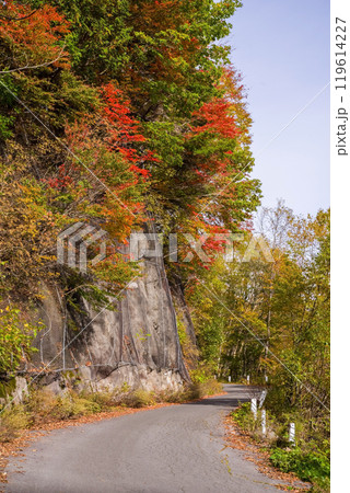 安房峠【国道158号 旧道】の紅葉 119614227