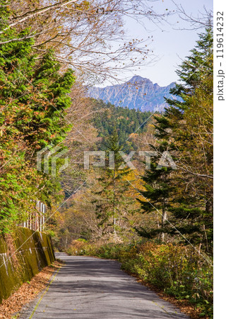 安房峠【国道158号 旧道】の紅葉 119614232