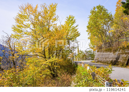 安房峠【国道158号 旧道】の紅葉 119614241