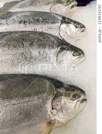 Fresh salmon 119614242