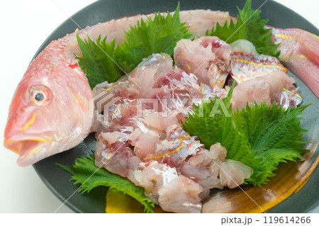 イトヨリダイのお造り 119614266