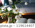 リビングテーブルに生けた秋明菊のアップ　 119614407