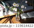 リビングテーブルに生けた秋明菊のアップ　 119614422