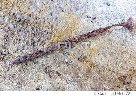 強烈に錆びた釘 強烈に錆びた釘 119614726