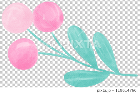 Watercolor Illustration of Pink Berries and Leaves Watercolor Illustration of Pink Berries and Leaves 119614760