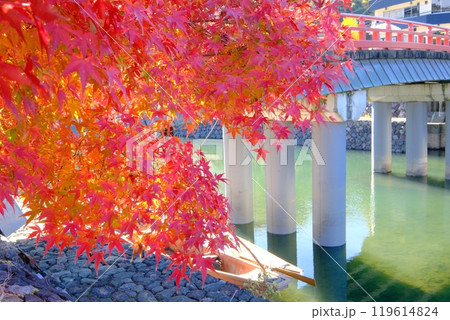 宇治の紅葉と喜撰橋 宇治の紅葉と喜撰橋 119614824