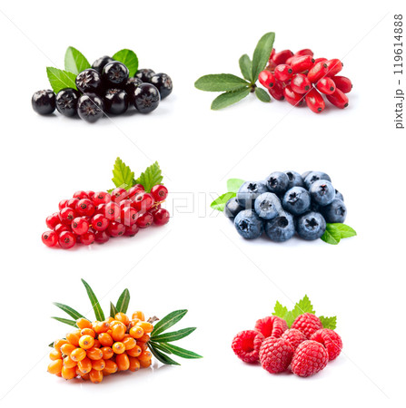 Collage of berries on white backgrounds Collage of berries on white backgrounds 119614888