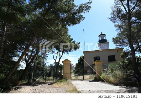 Panoramic view of the lighthouse of Porquerolles island in summer time, French Riviera, France Panoramic view of the lighthouse of Porquerolles island in summer time, French Riviera, France 119615193