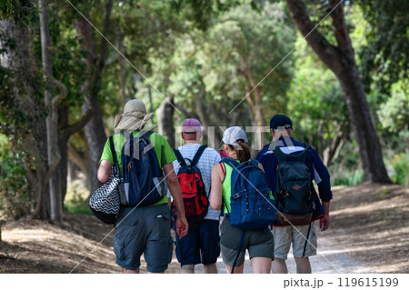 Porquerolles island, French Riviera, Peoples walking on a path under trees on the small island in 119615199