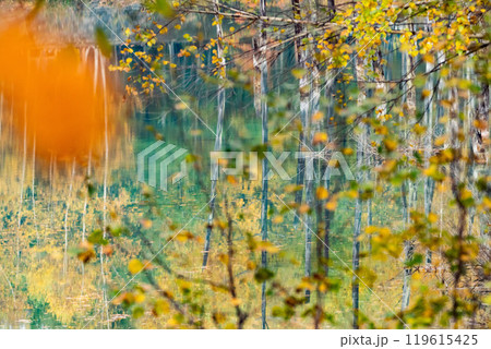 北海道の短い秋　紅葉の青い池 119615425