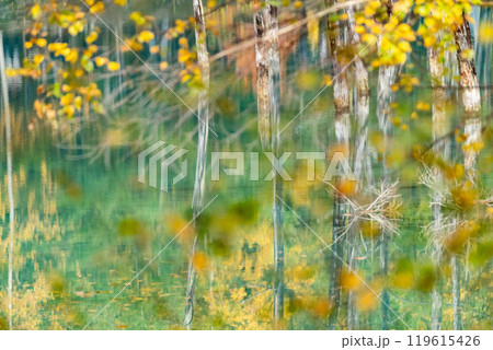 北海道の短い秋 紅葉の青い池 北海道の短い秋 紅葉の青い池 119615426