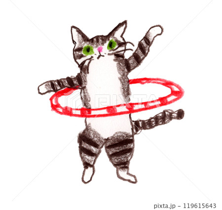 フラフープで遊ぶ猫 119615643