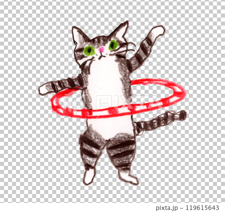 フラフープで遊ぶ猫 119615643