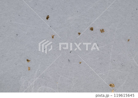 金銀雲竜模様の和紙【背景素材】 119615645