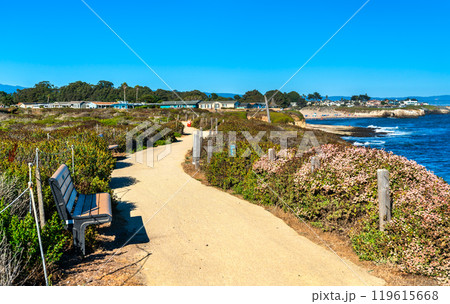 Scenic Path and Bench Overlooking the Pacific Ocean Near the University of California, Santa Cruz, United States 119615668
