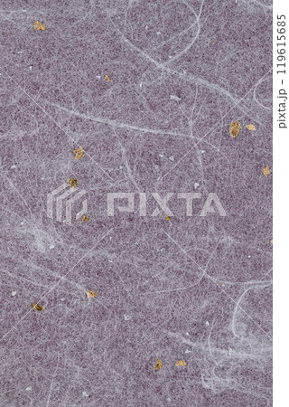 金銀雲竜模様の和紙【背景素材】 金銀雲竜模様の和紙【背景素材】 119615685