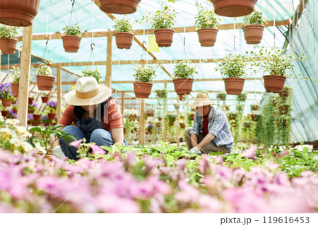 Two people gardening in greenhouse full of plants, wearing straw hats and focused on nurturing various flowers and plants, surrounded by lush greenery without dots 119616453