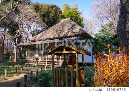 秋の蘆花恒春園 徳冨蘆花旧宅付近の紅葉(東京都世田谷区) 秋の蘆花恒春園 徳冨蘆花旧宅付近の紅葉(東京都世田谷区) 119616766