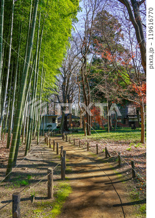 秋の蘆花恒春園 徳冨蘆花旧宅付近の紅葉(東京都世田谷区) 秋の蘆花恒春園 徳冨蘆花旧宅付近の紅葉(東京都世田谷区) 119616770