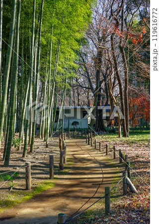 秋の蘆花恒春園　徳冨蘆花旧宅付近の紅葉（東京都世田谷区） 119616772