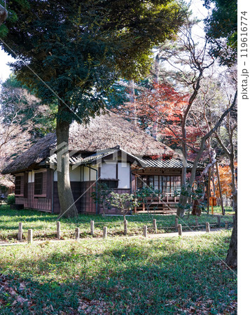 秋の蘆花恒春園　徳冨蘆花旧宅付近の紅葉（東京都世田谷区） 119616774