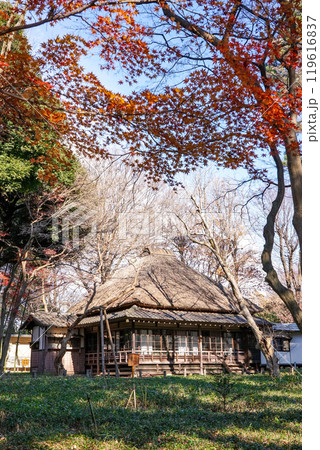 秋の蘆花恒春園 徳冨蘆花旧宅付近の紅葉(東京都世田谷区) 秋の蘆花恒春園 徳冨蘆花旧宅付近の紅葉(東京都世田谷区) 119616837