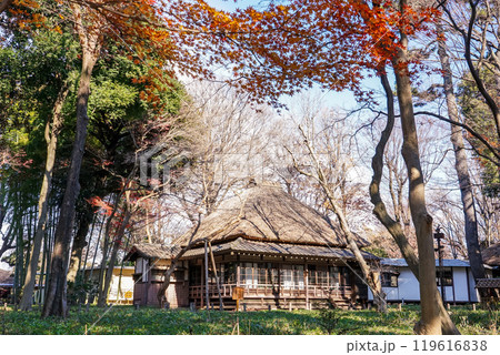 秋の蘆花恒春園　徳冨蘆花旧宅付近の紅葉（東京都世田谷区）　 119616838