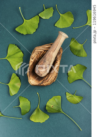 Ginkgo biloba leaves and yellow nuts. 119616945