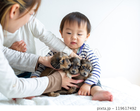 愛犬と遊ぶ子供達　ダックスフンド　仔犬 119617492