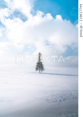 Winter travel snow scene in Biei, Hokkaido, Japan 119617744