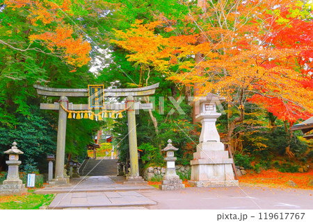鮮やかな紅葉の塩釜神社東参道 鮮やかな紅葉の塩釜神社東参道 119617767