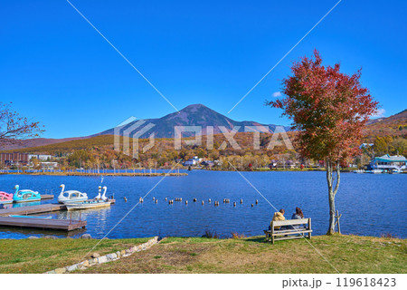 秋の長野県の白樺湖西側湖畔からの風景(蓼科山など) 秋の長野県の白樺湖西側湖畔からの風景(蓼科山など) 119618423