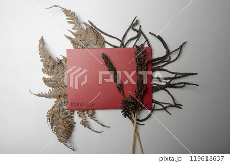 Top view of red envelope and postcard with brown leaves and words Thank You written on it Top view of red envelope and postcard with brown leaves and words Thank You written on it 119618637