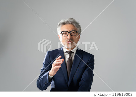 ビジネスマン グレイヘア インタビュー ビジネスマン グレイヘア インタビュー 119619002