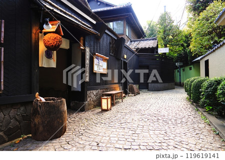 神楽坂の路地裏　風情ある石畳の道　東京のめ楽坂の路地裏　風情ある石畳の道　東京都新宿区の名所 119619141