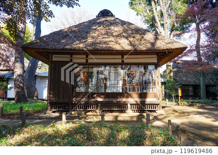 芦花公園こと蘆花恒春園　徳冨蘆花旧宅の紅葉（東京都世田谷区） 119619486