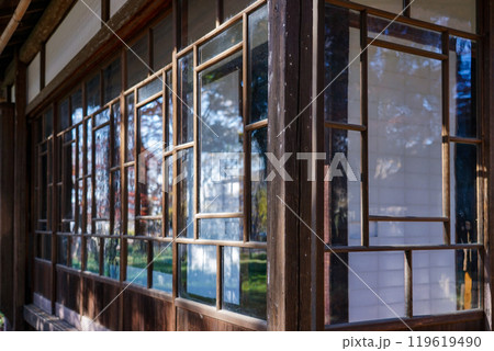 芦花公園こと蘆花恒春園　徳冨蘆花旧宅の紅葉（東京都世田谷区） 119619490