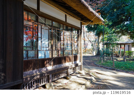 芦花公園こと蘆花恒春園 徳冨蘆花旧宅の窓に映る紅葉(東京都世田谷区) 芦花公園こと蘆花恒春園 徳冨蘆花旧宅の窓に映る紅葉(東京都世田谷区) 119619516