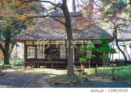 芦花公園こと蘆花恒春園　徳冨蘆花旧宅の窓に映る紅葉（東京都世田谷区） 119619520