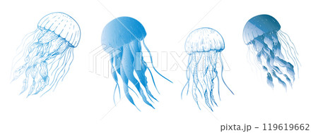 Vector beautiful jellyfish. Hand painted sketch. Graphic clip art isolated on background. Underwater illustration. For designers, invitations, decoration, postcards, wrapping paper, scrapbooking 119619662