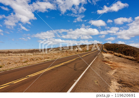 カウアイ島　ワイメア渓谷への道 119620691