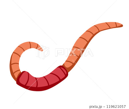 Worm bait. Cartoon insect animal. Invertebrate bug. Slimy earthworm crawler. Cartoon earth creep 119621057