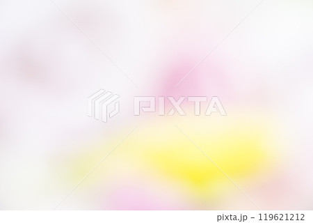 お花畑のイメージ　(写真素材) 119621212