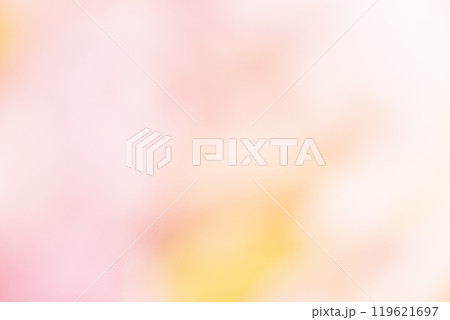 ピンク系お花畑のイメージ (写真素材) ピンク系お花畑のイメージ (写真素材) 119621697