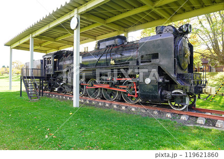 D51 159（北海道岩内町・岩内運動公園） 119621860