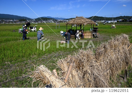 カカシのある風景 119622051