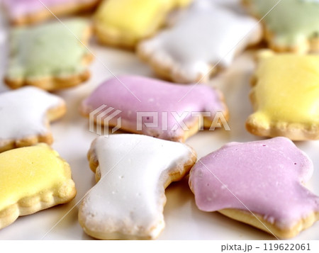 四色のアイシングクッキー 119622061